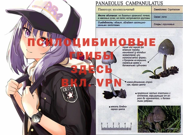 a pvp Вяземский